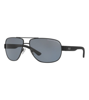 A|X Armani Exchange, Armani Exchange Polarized Sunglasses , AX2012S