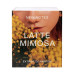 - Latte Mimosa Eau De Parfum - 50ml