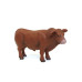 1/16 Red Angus Bull